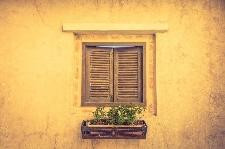 The Window Facing West
