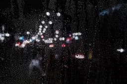 Monsoon Reflections – July 2026 Edition