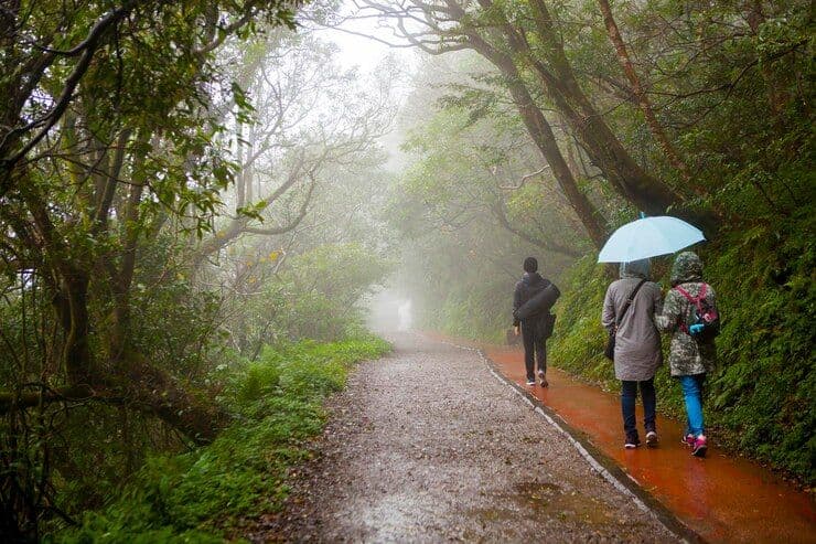 When the Monsoon Returned