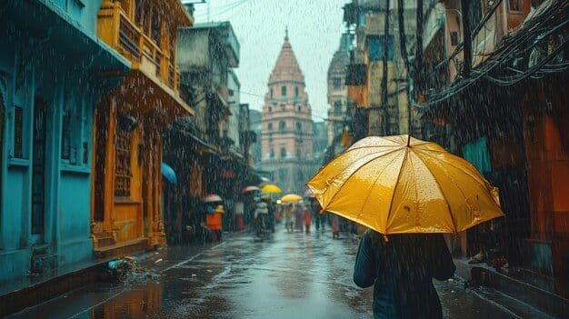 Monsoon Reflections – July 2026 Edition hero